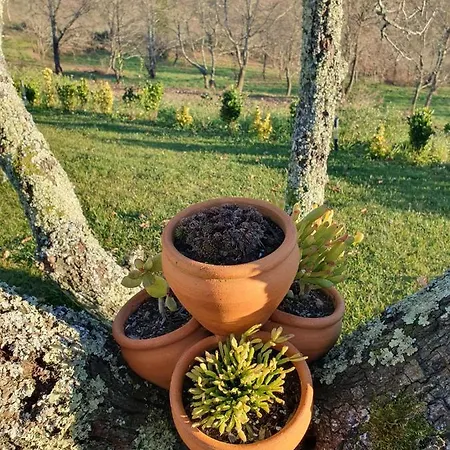 Quinta De Cerdeiro * Moes