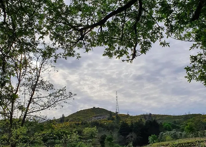 Quinta De Cerdeiro Bauernhof *