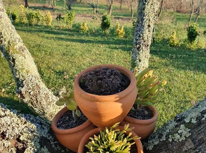 Quinta De Cerdeiro * Moes